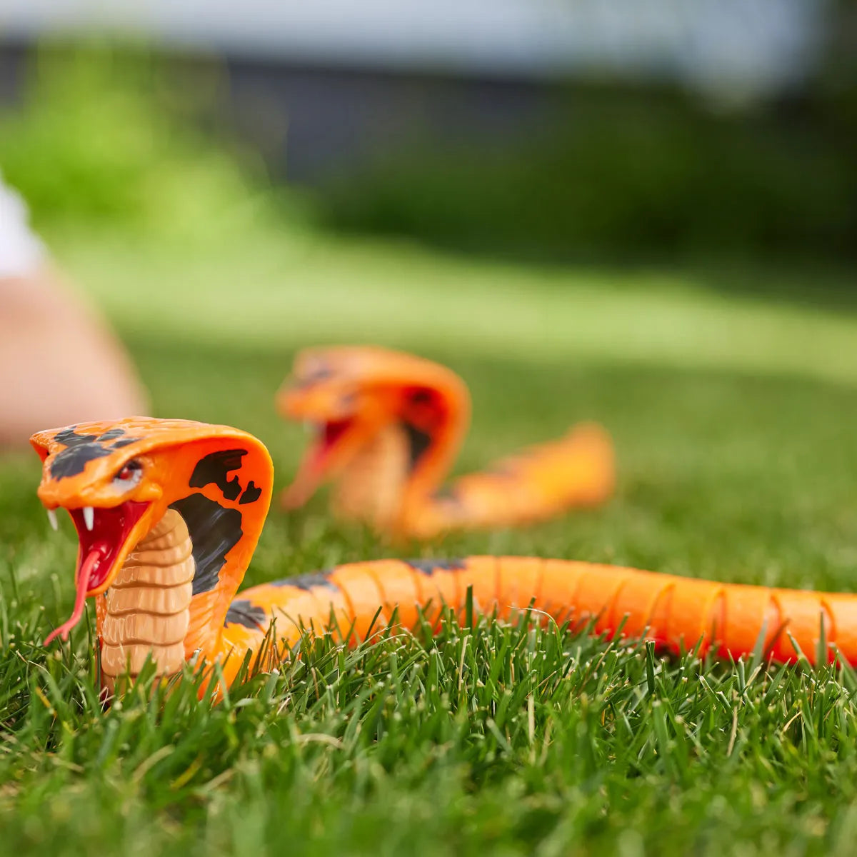 Robo Alive Serpiente King Cobra